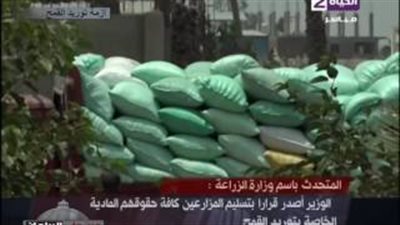 بالفيديو.. «الزراعة»: حل أزمة عجز القمح الأيام القادمة