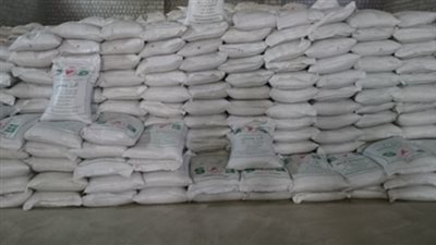 «مضارب دمياط»: تمويل المضارب لشراء الأرز يكسر تلاعب الموردين