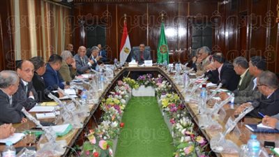 محافظ الدقهلية للتنفيذيين: 