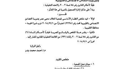 قيد ملخص جمعية ائتلاف محبى مصر