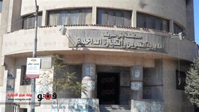 بدء تسجيل المواليد ببطاقات التموين ببني سويف