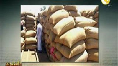 بالفيديو.. «القرموطي» يستعرض مراحل تطور الصوامع من الطين