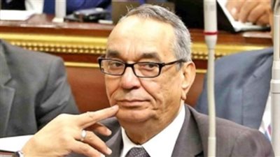 برلماني يطالب بحملات توعية للحد من الزيادة السكانية