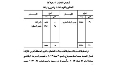 ميزانية تصفية الجمعية التعاونية للعاملين بالقوى العاملة بالمراغة