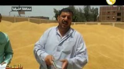 بالفيديو.. تكدس الفلاحين أمام شون القمح بالغربية والدقهلية