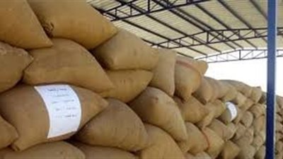 توريد 100 ألف طن من القمح في قنا