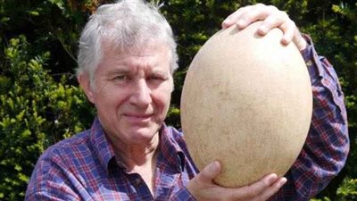 أكبر بيضة في العالم بـ 50 ألف جنيه إسترليني