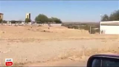 بالفيديو.. رجل يمشي كالكلاب يثير الجدل على مواقع التواصل