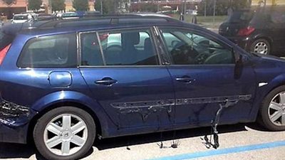 ملاك «رينو» يطالبون الشركة بالرد الرسمي على أزمة «ميجان بتسيح من الشمس»