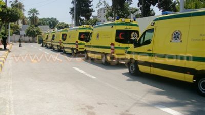 بالفيديو والصور.. محافظ دمياط يتسلم 8 سيارات إسعاف حديثة