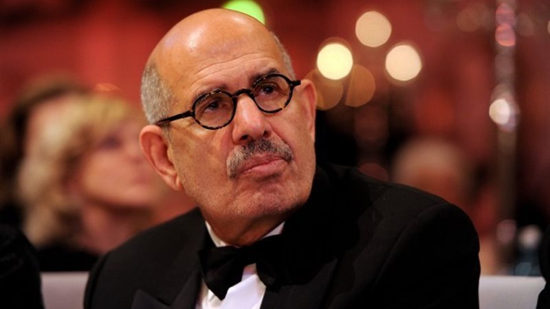 الدكتور محمد البرداعى