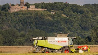 اختفاء حقل قمح بمساحة 30 ملعب كرة قدم في «ألمانيا»