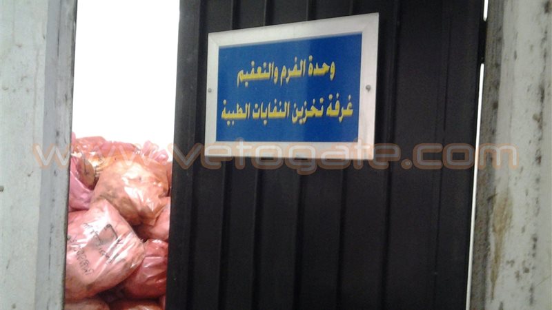 فيتو