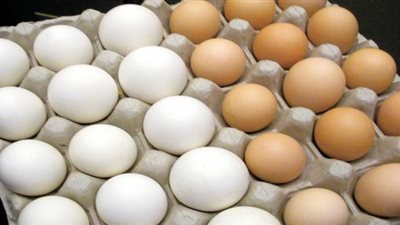 ارتفاع أسعار البيض في الجيزة.. يوليو الماضي