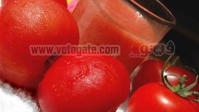 عصير الطماطم لمحاربة مرض السرطان