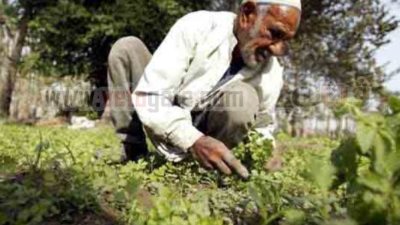 خبراء: المادتان 15و 16من الدستور الجديد.. أغفلتا المعدمين من الفلاحين.. يسهل التلاعب بهما.. نسخ من دستور 71