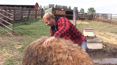 خنزير ضخم يلقن رجلا درسًا قاسيًا (فيديو)