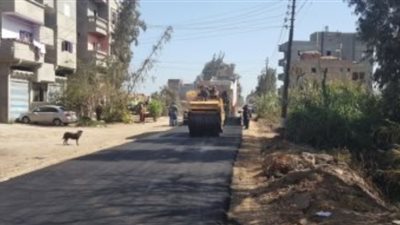 اعتماد 330 ألف جنيه لرصف شوارع السرو وكفر سعد بدمياط