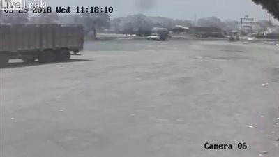 رد فعل ثور وماعز لحظة وقوع حادث مروع (فيديو)