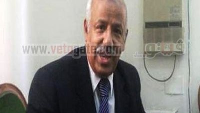 رئيس نادى قضاة المنيا:  الإشراف على الاستفتاء واجب وطنى