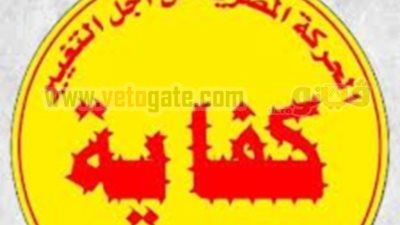 القوى السياسية بأسوان تعلن العصيان المدنى غداً