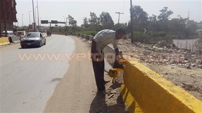 بالصور.. القليوبية تطلق حملة لتجميل الطريق الدائري