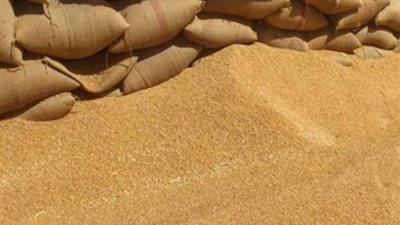 حسم طعن الحكومة لاستمرار استيراد «قمح الإرجوت».. اليوم