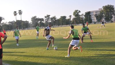 المصرية للاتصالات بديلًا للإنتاج الحربي في مواجهة المصرى