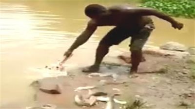 بالفيديو.. تقنية جديدة لصيد أعداد كبيرة من الأسماك