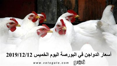 اسعار الدواجن في البورصة اليوم الخميس 2019/12/12