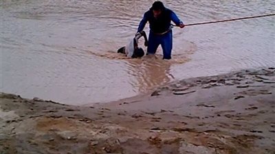 التصريح بدفن جثتي طفلين غرقا في النيل بمنشأة القناطر