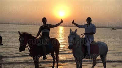 ياسمين وفريد قصة عاشق ومعشوقته على شواطئ الغردقة.. ياسمين فرسة تسعد السياح  وفريد فارس في عمر 5 اعوام ومدرب خيول في العشرين من عمره (صور)