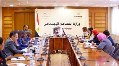 تفاصيل مباحثات نائب وزيرة التضامن مع وفد الآلية الأفريقية لمراجعة النظراء