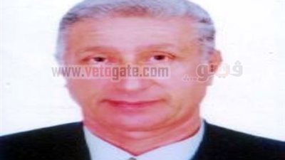 الريشة الطائرة يشارك في بطولة التضامن الإسلامي