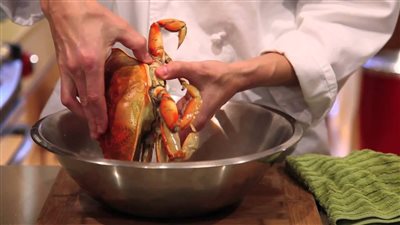 أسعار الأسماك بسوق العبور.. والكابوريا تسجل 120 جنيها