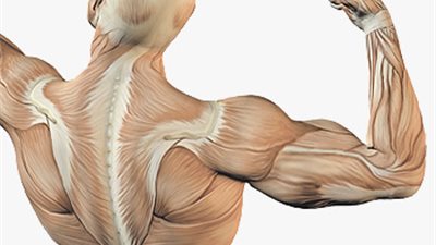 «أستاذ جلدية» يكشف عن درجات الحرارة التي يتحملها جلد المصريين