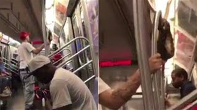 بالفيديو والصور.. رجل يطلق ثعبانا وسط عربة مترو الأنفاق