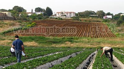 الشريف: المادة 15 بالدستور تؤكد اختلاف 