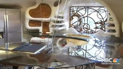 بالصور.. عرض منزل كارتون للبيع بـ 2.8 مليون دولار