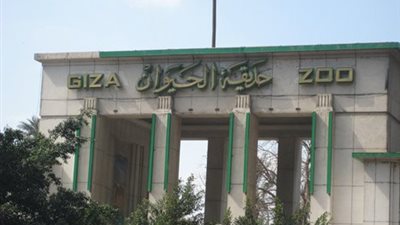 حديقة الحيوان بالجيزة: إنسان الغاب النافق لم يتعرض لأشعة الشمس