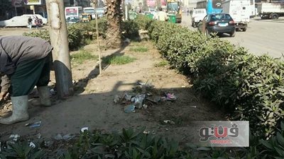 بالصور.. حملة لتشجير الشوارع بشبرا الخيمة