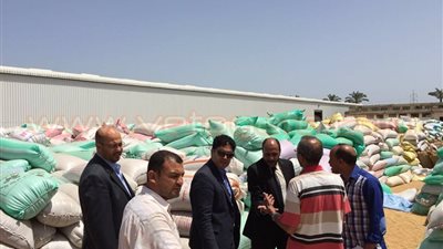 برلماني يتابع توريد القمح للشون بدمياط
