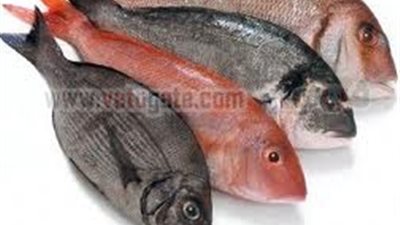 طريقتك لاختيار السمك الطازج