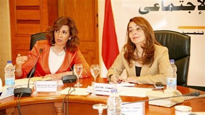 «الوزارية لمد المظلة التأمينية للمصريين بالخارج» تستعرض أعدادهم