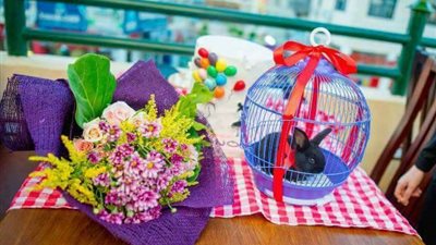 شاب يهدي خطيبته «أرنب» على أنغام الموسيقي في مطعم بدمياط