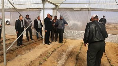 تنفيذ مجمع صوب زراعية على مساحة 6 أفدنة بالوادي الجديد