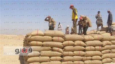 توريد 100 طن قمح لصوامع وشون الدقهلية