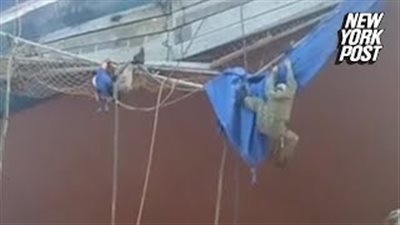 مصرع عامل وإصابة 3 لحظة انهيار سقالة (فيديو)