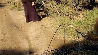 سقوط شجرة على أسلاك كهرباء بسبب الرياح في القليوبية (صور)