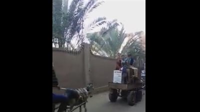 بالفيديو.. نقل عفش عروسة بعربات الكارو في الشرقية